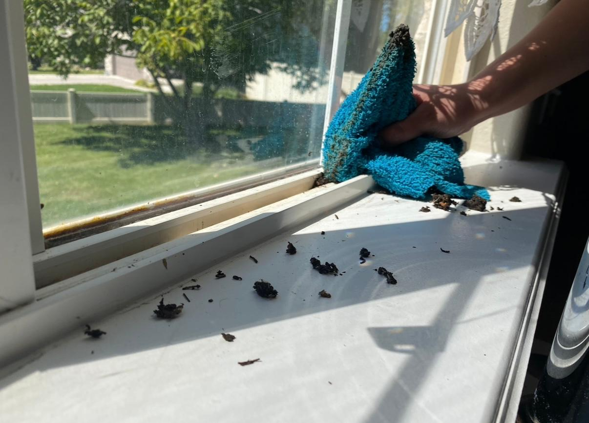 Detail cleaning that protects a Deep Cleaning investment